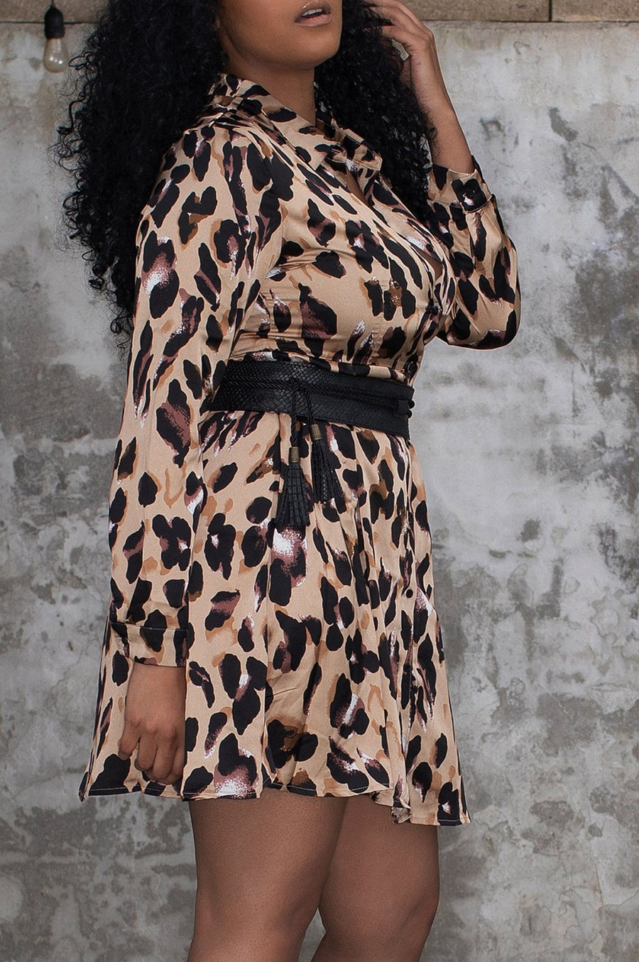 'Aubrey' Leopard Button-Up Dress